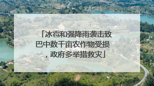 冰雹和强降雨袭击致巴中数千亩农作物受损，政府多举措救灾