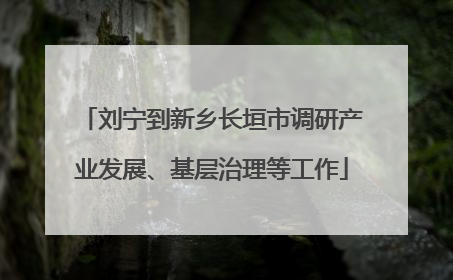 刘宁到新乡长垣市调研产业发展、基层治理等工作