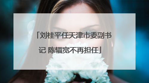 刘桂平任天津市委副书记 陈辐宽不再担任