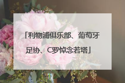 利物浦俱乐部、葡萄牙足协、C罗悼念若塔