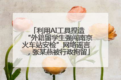 利用AI工具捏造 “外籍留学生强闯南京火车站安检”网络谣言，张某燕被行政拘留