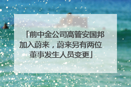 前中金公司高管安国邦加入蔚来，蔚来另有两位董事发生人员变更