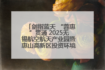 剑指蓝天 “蓉惠”贯通 2025无锡航空航天产业园暨惠山高新区投资环境推介会在成都举行