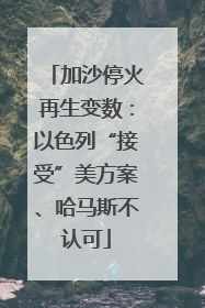 加沙停火再生变数：以色列“接受”美方案、哈马斯不认可