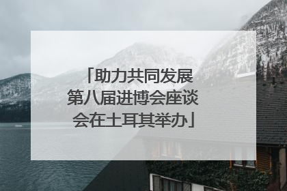 助力共同发展 第八届进博会座谈会在土耳其举办