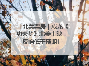 北美票房｜成龙《功夫梦》北美上映，反响低于预期