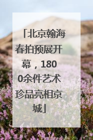 北京翰海春拍预展开幕，1800余件艺术珍品亮相京城