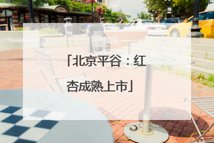 北京平谷：红杏成熟上市