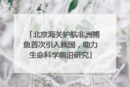 北京海关护航非洲鳉鱼首次引入我国，助力生命科学前沿研究