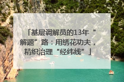 基层调解员的13年“解题”路：用绣花功夫，精织治理“经纬线”