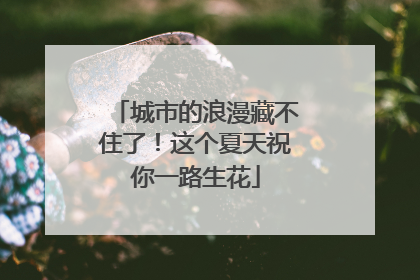 城市的浪漫藏不住了！这个夏天祝你一路生花