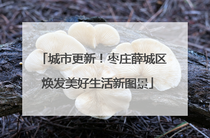 城市更新！枣庄薛城区焕发美好生活新图景