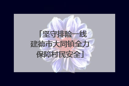 坚守排险一线 建德市大同镇全力保障村民安全