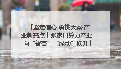 坚定信心 勇挑大梁·产业新亮点丨张家口算力产业向“智变”“绿动”跃升