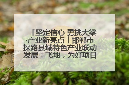 坚定信心 勇挑大梁·产业新亮点丨邯郸市探路县域特色产业联动发展：飞地，为好项目跨域安个家