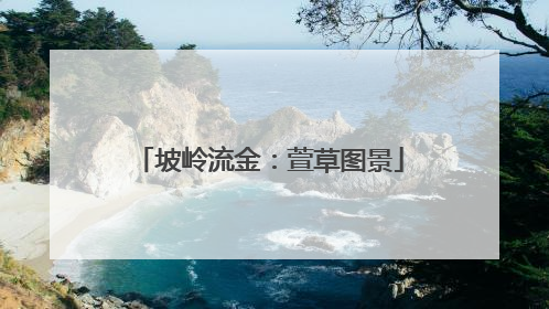 坡岭流金：萱草图景
