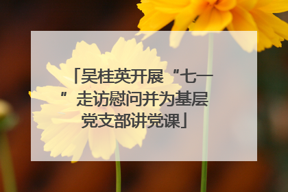 吴桂英开展“七一”走访慰问并为基层党支部讲党课
