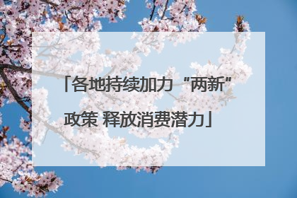 各地持续加力“两新”政策 释放消费潜力