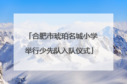 合肥市琥珀名城小学举行少先队入队仪式