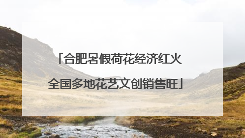 合肥暑假荷花经济红火 全国多地花艺文创销售旺
