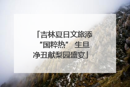 吉林夏日文旅添“国粹热” 生旦净丑献梨园盛宴