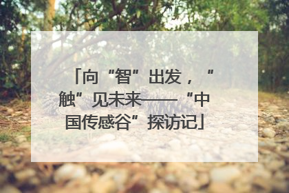 向“智”出发，“触”见未来——“中国传感谷”探访记