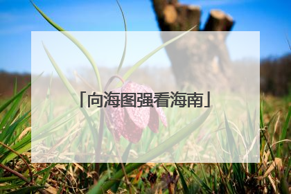 向海图强看海南
