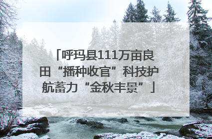 呼玛县111万亩良田“播种收官”科技护航蓄力“金秋丰景”