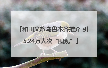 和田文旅乌鲁木齐推介 引5.24万人次“围观”