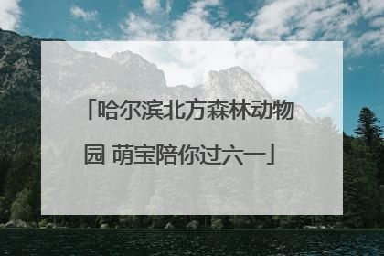哈尔滨北方森林动物园 萌宝陪你过六一