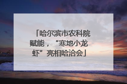 哈尔滨市农科院赋能，“寒地小龙虾”亮相哈洽会