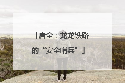 唐全：龙龙铁路的“安全哨兵”