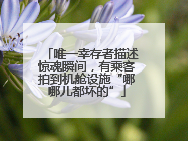 唯一幸存者描述惊魂瞬间，有乘客拍到机舱设施“哪哪儿都坏的”