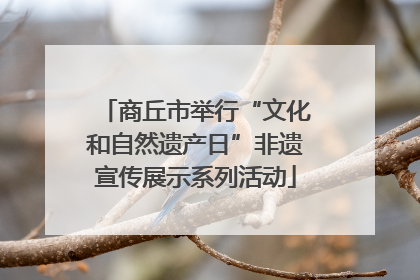 商丘市举行“文化和自然遗产日”非遗宣传展示系列活动