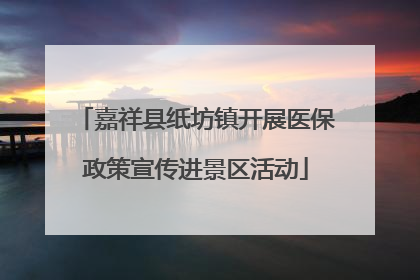 嘉祥县纸坊镇开展医保政策宣传进景区活动