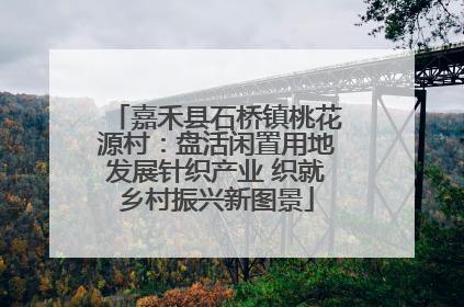 嘉禾县石桥镇桃花源村：盘活闲置用地发展针织产业 织就乡村振兴新图景