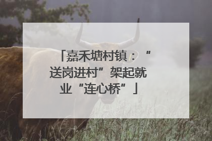 嘉禾塘村镇：“送岗进村”架起就业“连心桥”