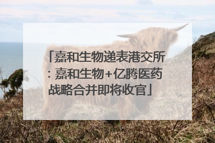 嘉和生物递表港交所：嘉和生物+亿腾医药战略合并即将收官