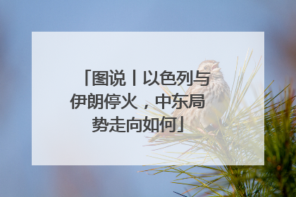 图说丨以色列与伊朗停火，中东局势走向如何