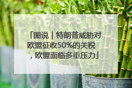 图说｜特朗普威胁对欧盟征收50%的关税，欧盟面临多重压力