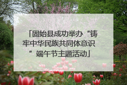 固始县成功举办“铸牢中华民族共同体意识”端午节主题活动