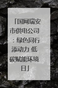 国网瑞安市供电公司：绿色同行添动力 低碳赋能环境日