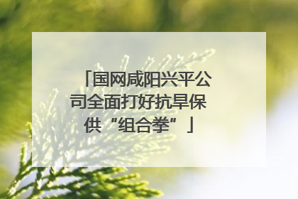 国网咸阳兴平公司全面打好抗旱保供“组合拳”