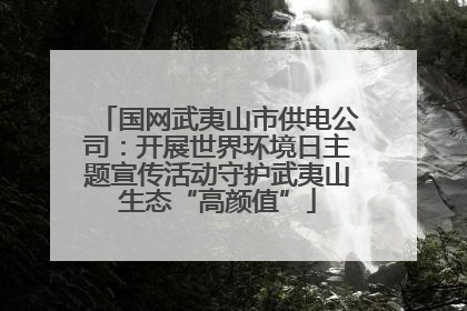 国网武夷山市供电公司：开展世界环境日主题宣传活动守护武夷山生态“高颜值”