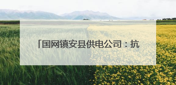 国网镇安县供电公司：抗旱保电跑出“加速度” 全力守护农田灌溉用电