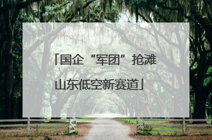国企“军团”抢滩山东低空新赛道