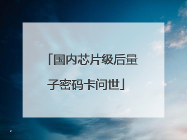 国内芯片级后量子密码卡问世