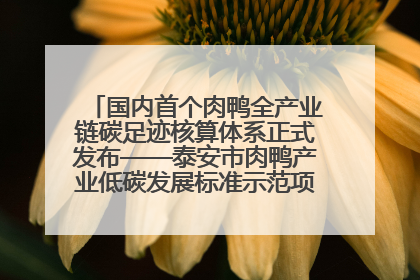 国内首个肉鸭全产业链碳足迹核算体系正式发布——泰安市肉鸭产业低碳发展标准示范项目顺利通过验收