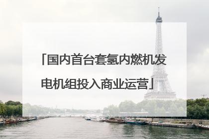 国内首台套氢内燃机发电机组投入商业运营
