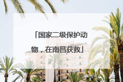 国家二级保护动物，在南昌获救